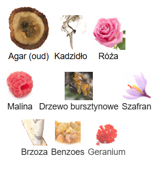 Louis Vuitton Ombre Nomade - Odlewka perfum