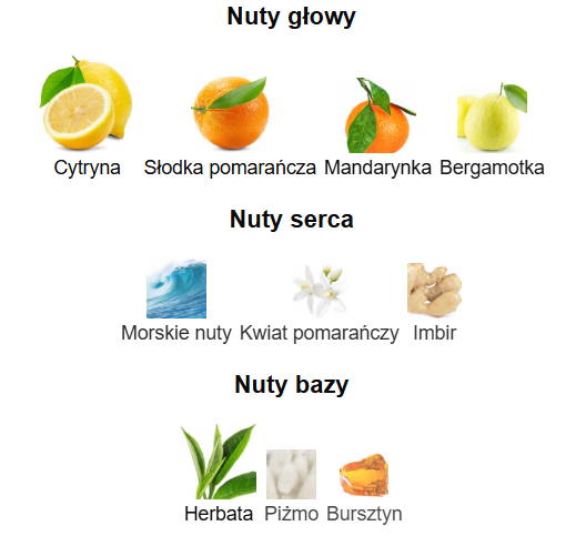 Armaf Odyssey Limoni Fresh - Odlewka perfum