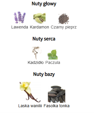 Rabanne Invictus Victory Elixir - Odlewka perfum